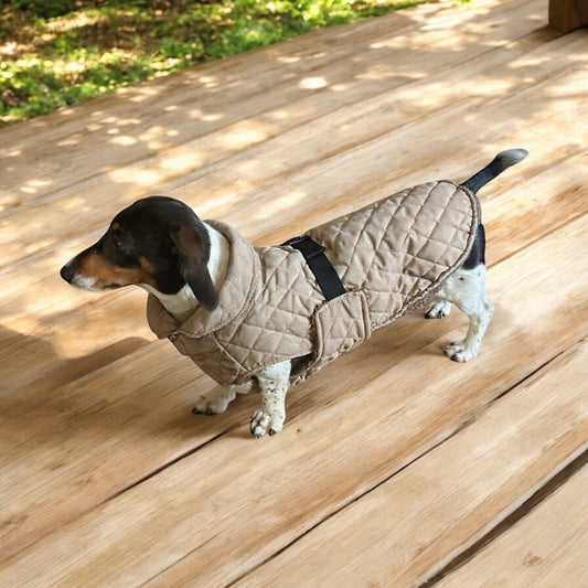 The Snuggie - Water shower proof - PRE ORDER NOW