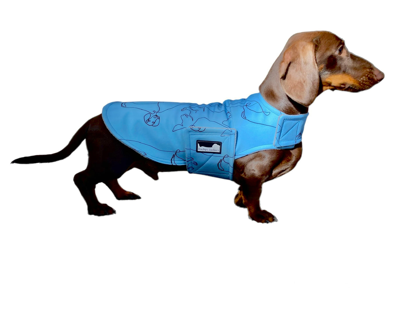Dachys Jackies - Water resistant Dog jacket - Happy Dachy Blue