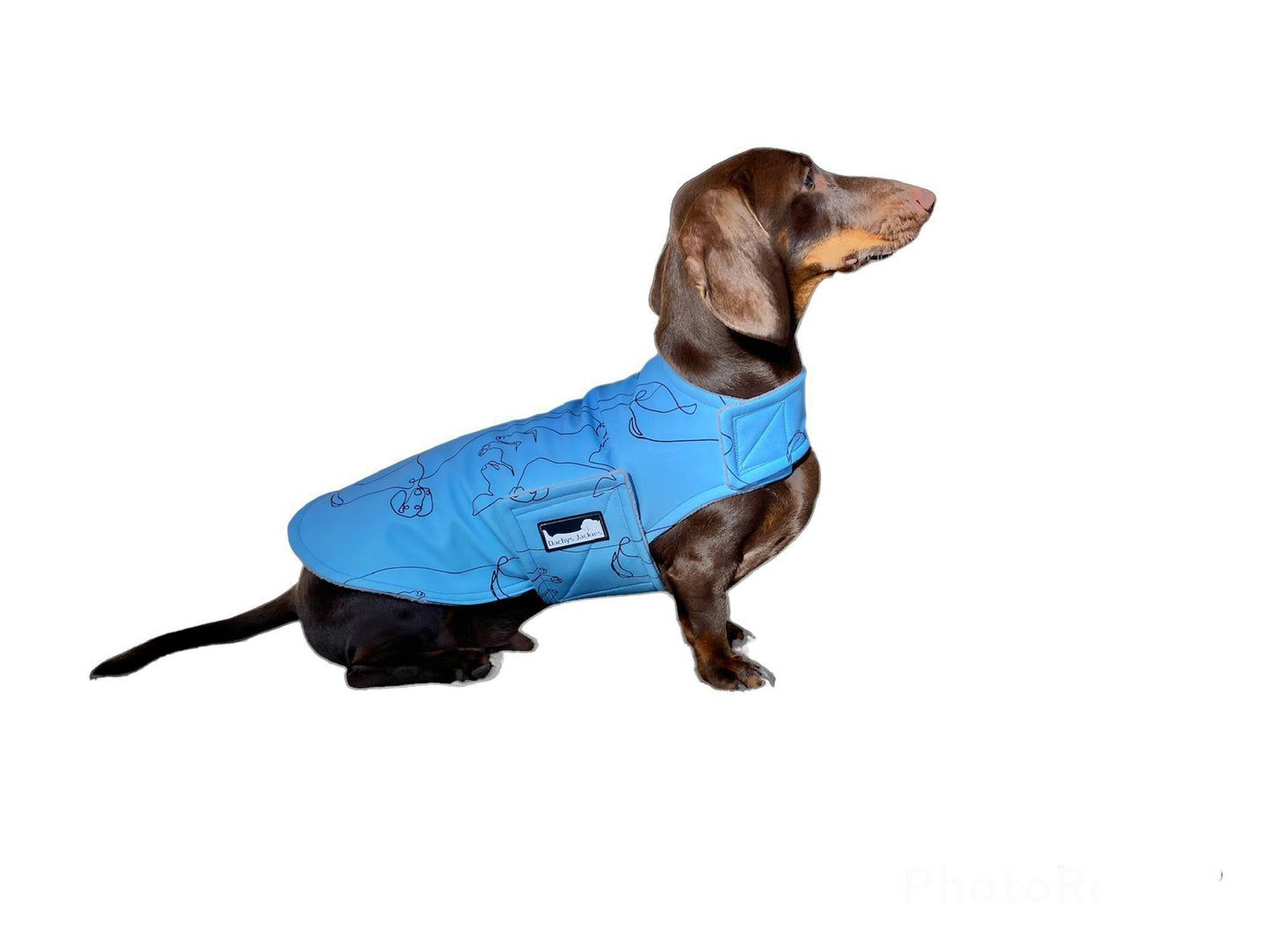Dachys Jackies - Water resistant Dog jacket - Happy Dachy Blue
