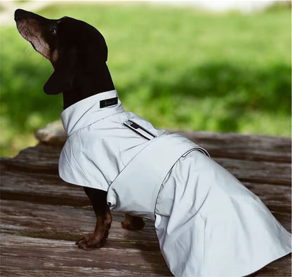 Neon Noodle - Reflective, Waterproof and Warm Dachshund raincoat