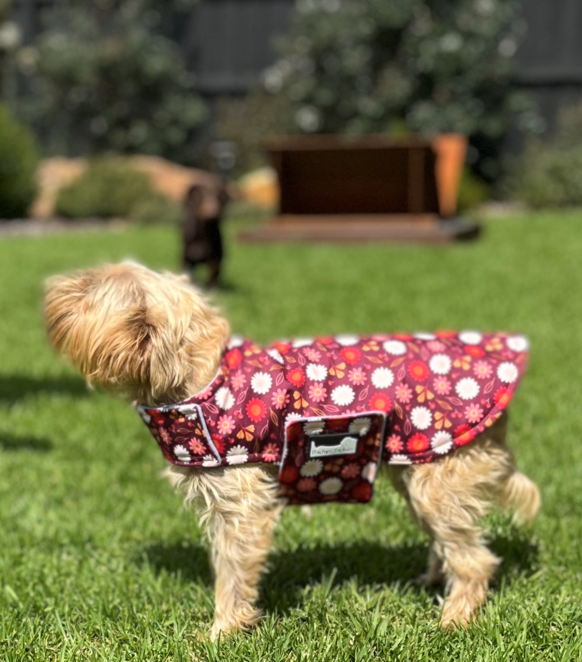 Dachys Jackies - Water resistant Dog jacket - Cherry Blossom