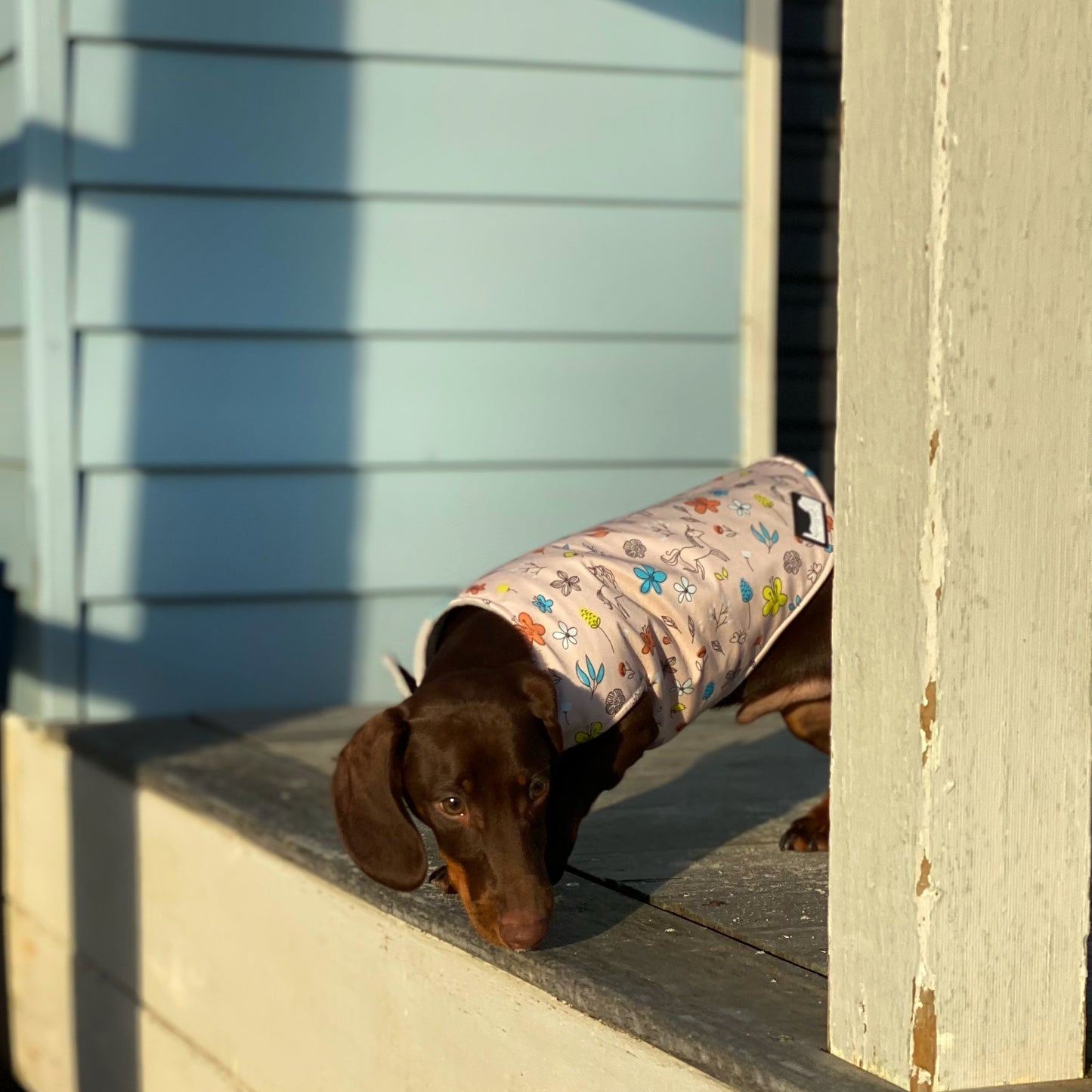 Dachys Jackies - Water resistant Dog jacket - Spring pink