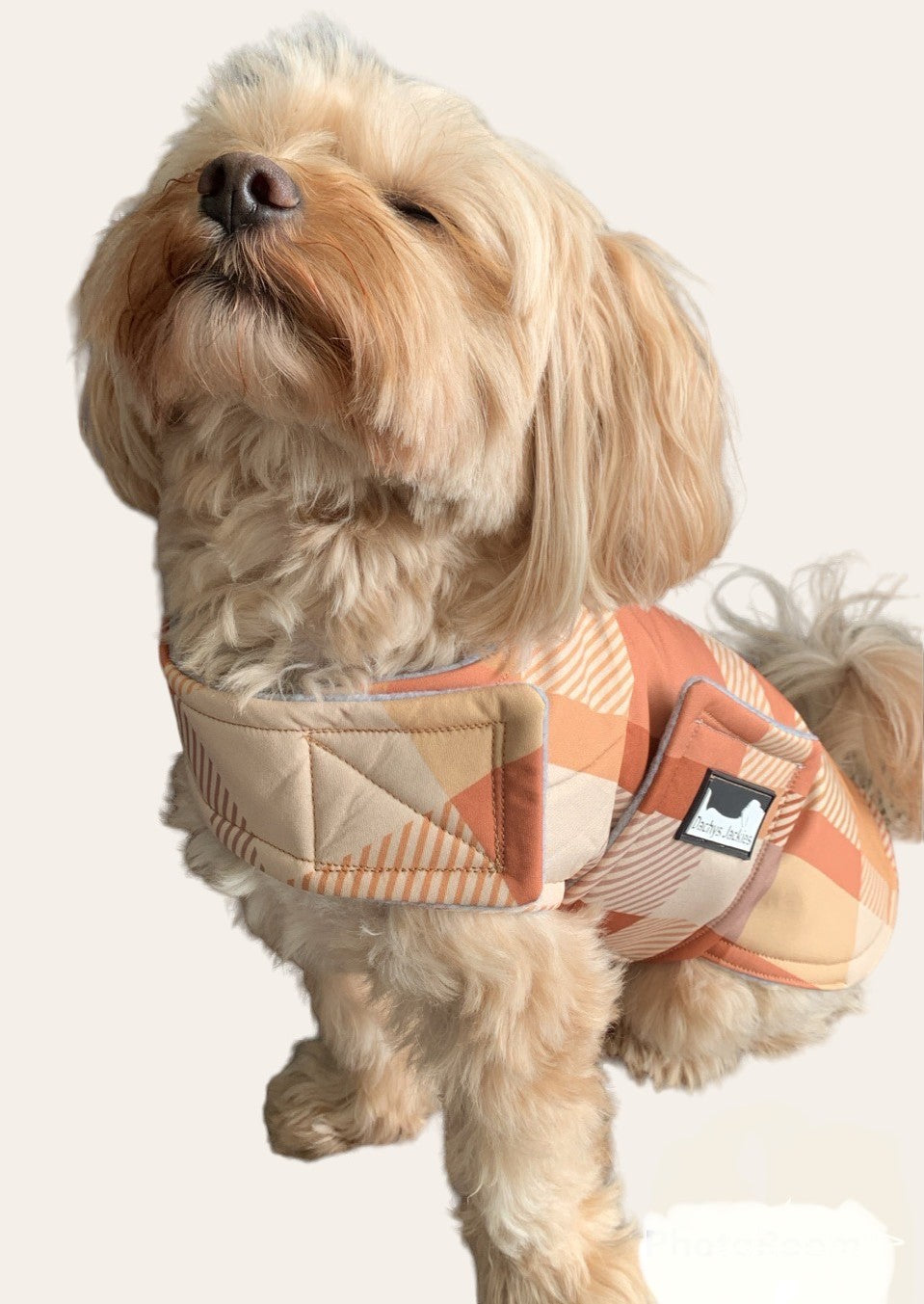 Dachys Jackies - Water resistant Dog jacket - Caramel Delight